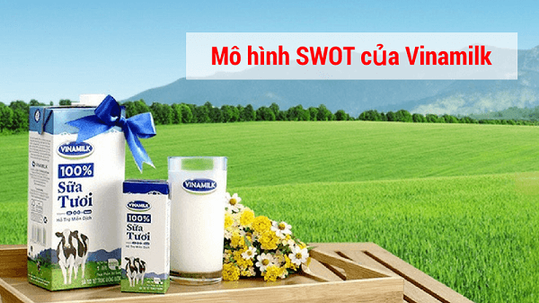 Top 90 về mô hình ife của vinamilk mới nhất  Tin học Đông Hòa